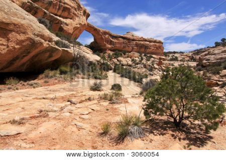 Owachomo Bridge i Utah