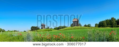 Rural Landscape With Historical Windmills Behind Wheet Field In Spring With Orange Poppy Flowers In 