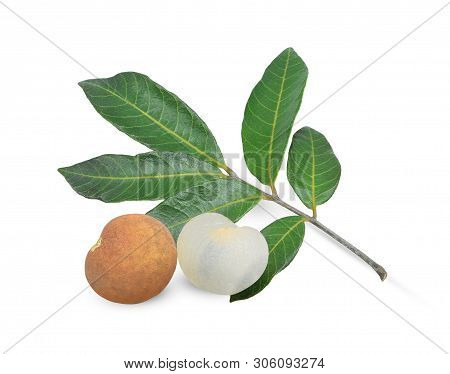 Fresh Longan With Green Leaf,sweet Longan,longan Pink Isolated On  White Background