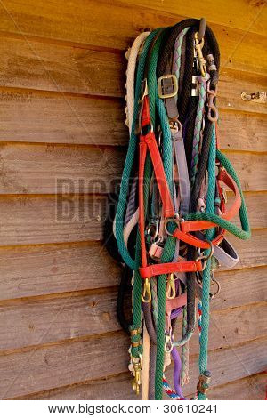 Cabeçadas de cavalo