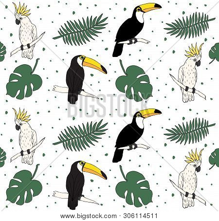 Vector Seamless Pattern Of Hand Drawn Doodle Sketch Toucan Cockatoo Parrot And Palm Leaves Isolated 