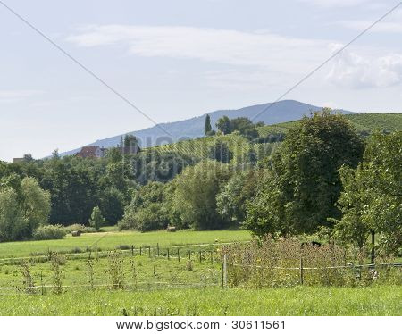 Alsace maisemia