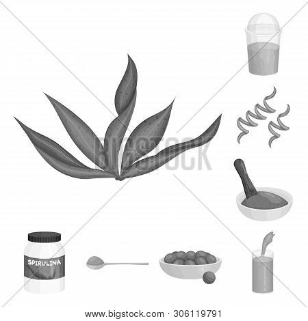 Vector Design Of Plant And Weed Logo. Collection Of Plant And Sea Vector Icon For Stock.