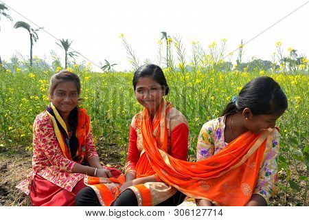 Close Up Of Three Teenage Girls Wearing Colorful Salwar Kameez Sitting In A Yellow Mustard Flower Fi