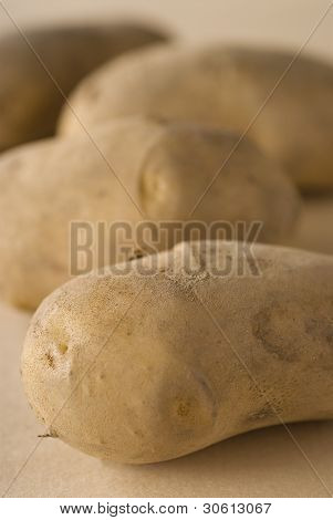 Patata