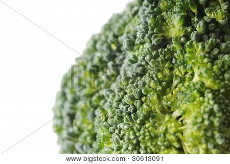 Broccoli