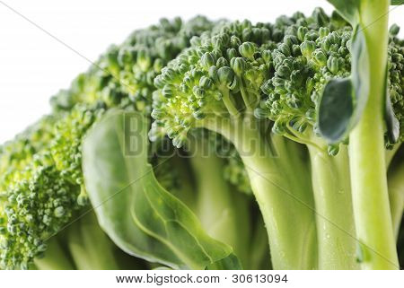Broccoli