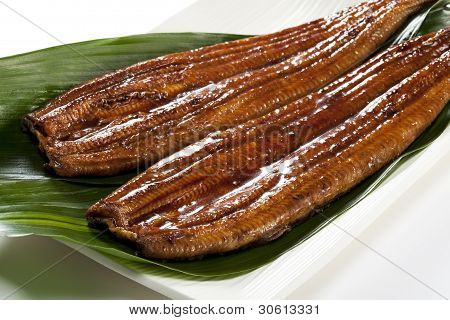 Anguilla (Unagi)