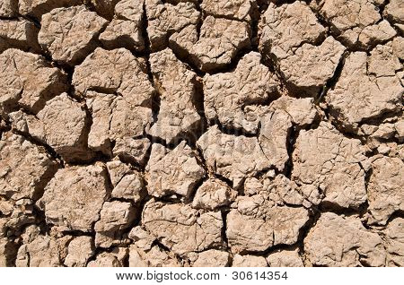 Cracked ground