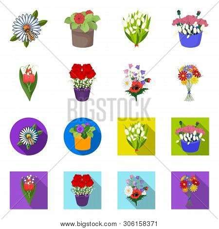 Vector Design Of Spring And Wreath Icon. Collection Of Spring And Blossom Vector Icon For Stock.