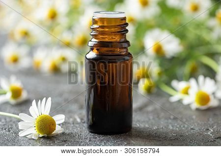 A Bottle Of Essential Oil With Fresh German Chamomile Flowers In The Background