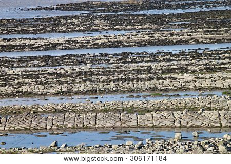 East Quantoxhead Beach In Somerset. The Limestone Pavements Date To The Jurassic Era And Are A Parad