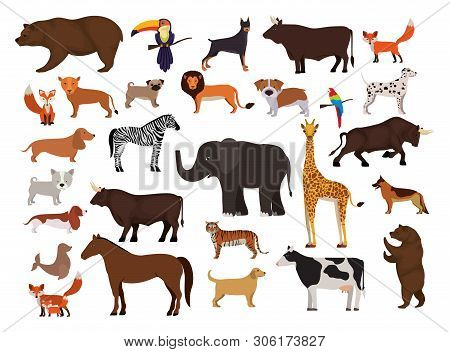 Animals Bundle In Flat Style Lion, Cat, Dog, Giraffe, Horse, Zebra, Fox, Elk, Wolf Bear Sheep Others