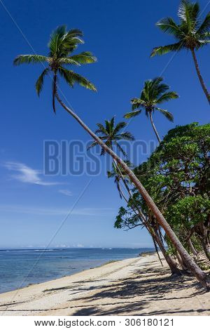 Beach On The Tropical Island Clear Blue Water. Dravuni Island, Fiji.