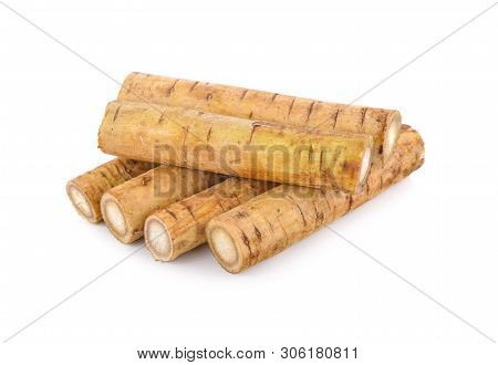 Fresh Burdock Root Or Gobo On White Background