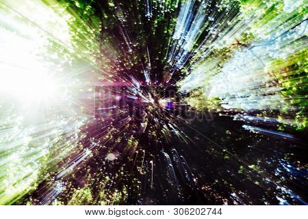 view of the treetops in a forest, seen from below, with a zoom effect