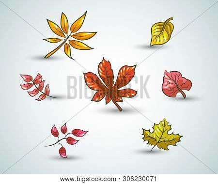 Doodle Leaves Of Trees Set Isolated On White Background. Vector