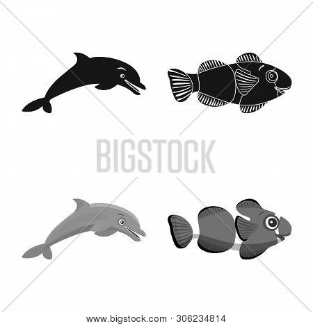 Vector Design Of Sea And Animal Logo. Collection Of Sea And Marine Vector Icon For Stock.