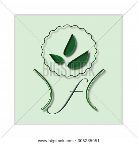 The Beautiful Green Lofo Design Of Natural Company