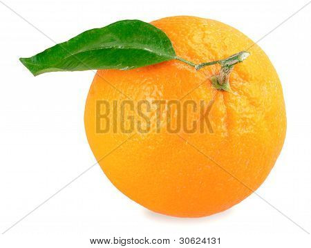 Orange isolato