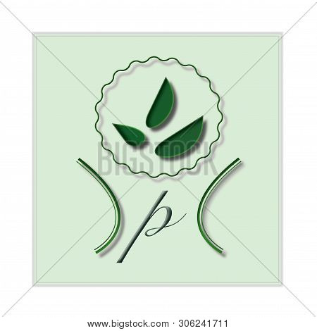 The Beautiful Green Logo Design Of Natural Company