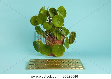 Robot Plant