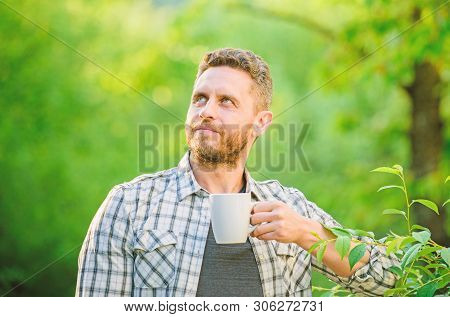 Natural Drink. Healthy Lifestyle. I Prefer Green Tea. Refreshing Drink. Man Bearded Tea Farmer Hold 