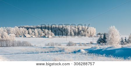 Rural Landscape In Winter Sunny Frosty Day