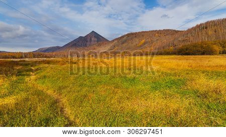 View Of The Mountain, Forest In Autumn Colors. Anavgay, Bystrinsky District, Peninsula Kamchatka, Ru