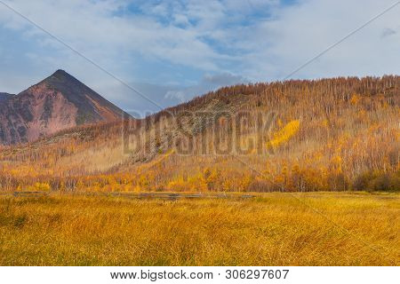 View Of The Mountain, Forest In Autumn Colors. Anavgay, Bystrinsky District, Peninsula Kamchatka, Ru