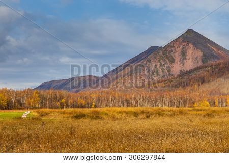 View Of The Mountain, Forest In Autumn Colors. Anavgay, Bystrinsky District, Peninsula Kamchatka, Ru