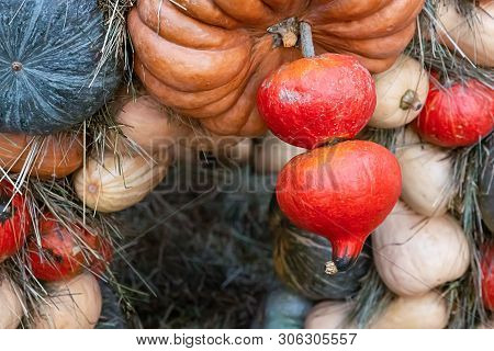Pair Orange Pumpkin Art Design Up On The Background Of A Large Orange Pumpkin Autumn Festival Design