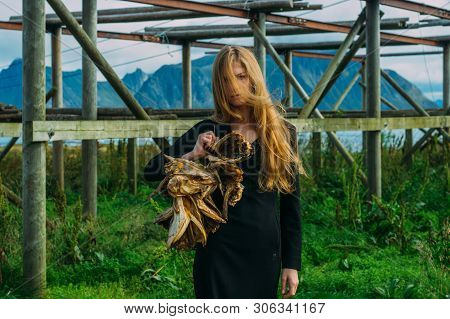 Girl In Black Dress With Bundle Of Dried Fish Heads, Lofoten Islands, Norway