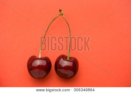 Close Up Of A Pair Of Fresh Red Ripe Shiny Cherries With Green Petioles Are Placed Vertically On The