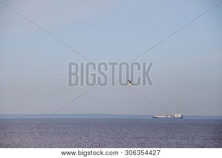 The Gulf Of Finland . Summer Sea In Clear Windless Weather. Sea Without Waves.