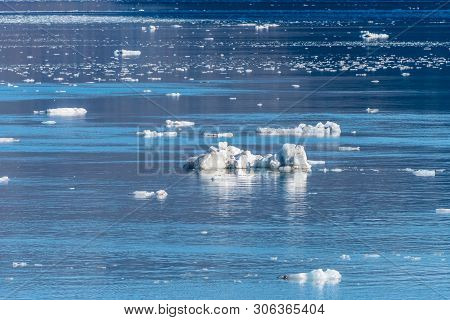 Pieces Of Ice/ Icebergs Broken From Glaciers Floating In The Tidewater Basin Inlet Of Glacier Bay Na