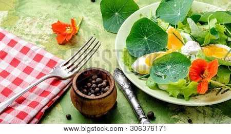 Summer Nasturtium Salad