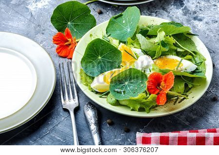 Summer Nasturtium Salad