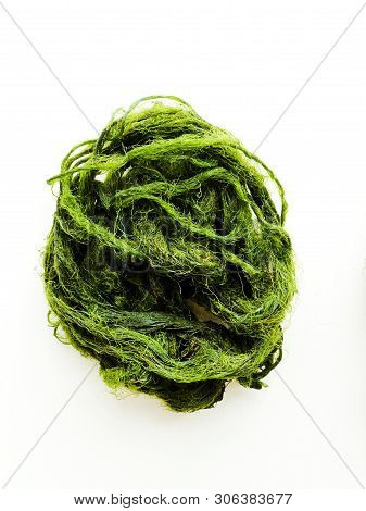 River Algae On White