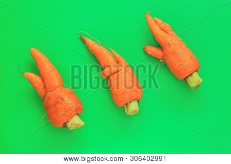 Ugly Food. Deformed Organic Carrots On Pastel Background In Green And Orange Duoton. Bright Contrast
