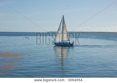 Barca vela sul mare calmo