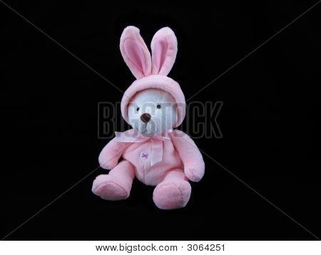 Orso In Bunny Suit