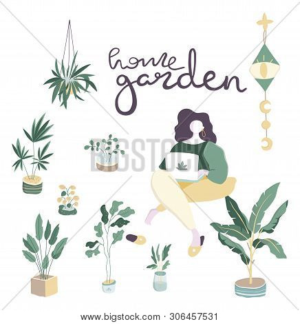 Home Interior, Greenhouse With Plants In Pots Woman With Hobby. Houseplants And Woman Reading Book S
