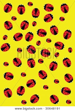 Ladybugs