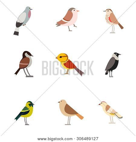 Bird Pattern Flat Illustration On White Background. Wildlife And Animals Series.