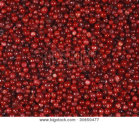 Lingonberries