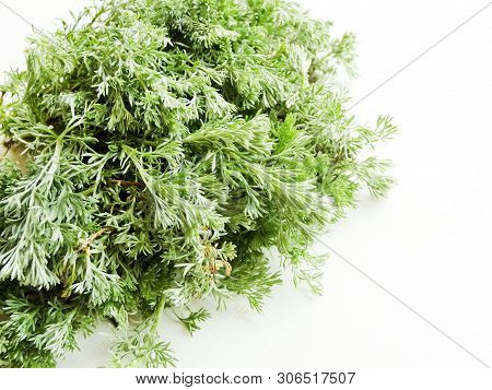 Sagebrush On White Wooden Background. Shallow Dof.
