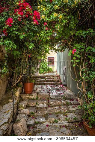 Old Narrow Street With Flowers In Plaka District, Athens, Greece. Plaka Is One Of The Main Tourist A