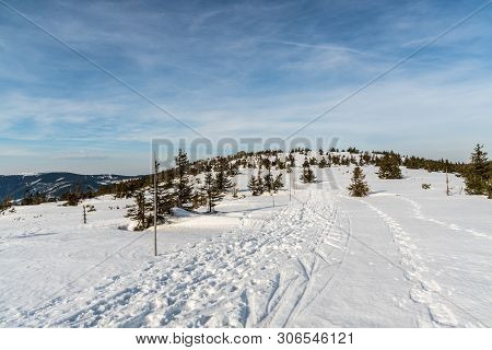 Winter Jeseniky Mountains Scenery From Hiking Trail Bellow Pecny Hill In Czech Republic With Snow Co