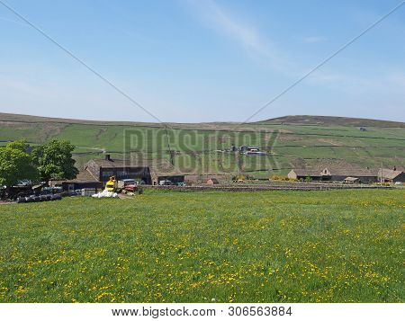 Farmhouses And Pasture With Yellow Spring Flowers In The Grass With Dry Stone Walls Surrounding The 